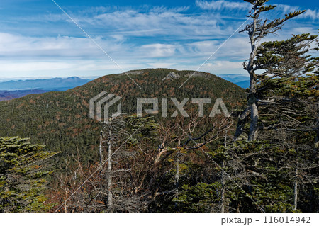 甲武信岳山頂から見る三宝山と浅間山 116014942