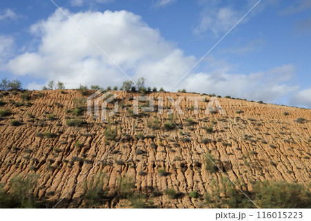 The landscape Desert Hillside under a Blue Sky 116015223