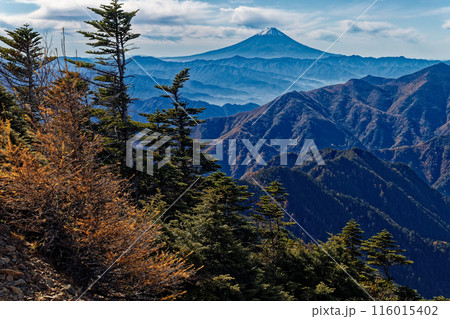 秋の甲武信岳山頂から見る富士山 秋の甲武信岳山頂から見る富士山 116015402