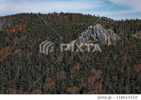 甲武信岳山頂から見る三宝山 116015410