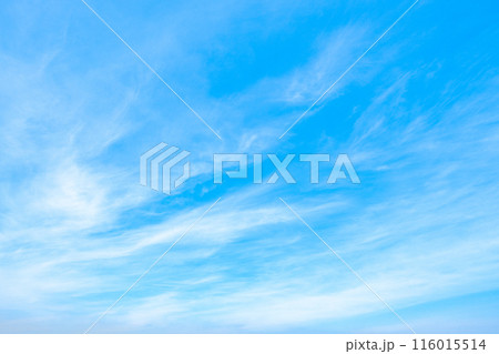 青空 116015514