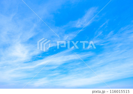 青空 青空 116015515