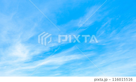 青空 116015516