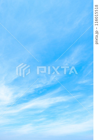 青空 青空 116015518