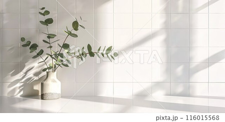 ユーカリと白タイルの背景素材01 116015568