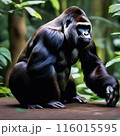 ジャングルにいるゴリラ 116015595