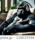 ソファーで音楽を聴いてリラックスするゴリラ 116015598