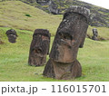 横長に撮影したイースター島のラパ・ヌイ国立公園の中のラノ・ララクのモアイ像 116015701