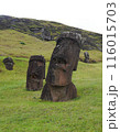 縦長に撮影したイースター島のラパ・ヌイ国立公園の中のラノ・ララクのモアイ像 116015703