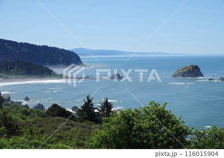 Scenic high angle landscape viewpoint on the North California beach at Crescent City, California against a blue sky 116015904