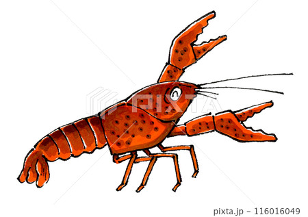 喜ぶザリガニ 喜ぶザリガニ 116016049