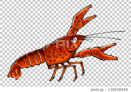 喜ぶザリガニ 喜ぶザリガニ 116016049