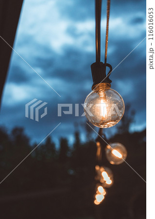 From below of shiny glass bulbs hanging on rope on street near trees on evening time 116016053