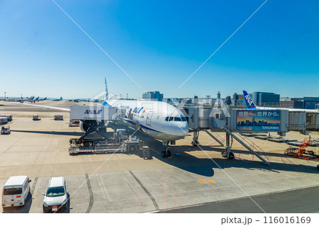 TOKYO, JAPAN - April 10, 2024 : ANA or All Nippon Airways Airlines is Japan national airline plane stops and prepares to receive passengers of Haneda Airport on a Boeing 787-9 aircraft. 116016169