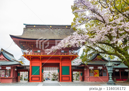 Cherry blossoms blooming in Fujisan Hongu Sengen Taisha Shinto Shrine at Fujinomiya famous shrine and landmark Shizuoka Japan. Cherry blossoms blooming in Fujisan Hongu Sengen Taisha Shinto Shrine at Fujinomiya famous shrine and landmark Shizuoka Japan. 116016172
