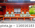 Fujinomiya, Japan April 8, 2024: Sake fermentation tank in Fujisan Hongu Sengen Taisha Shinto Shrine where cherry blossoms are blooming on a rainy day at Shizuoka, Japan. 116016183