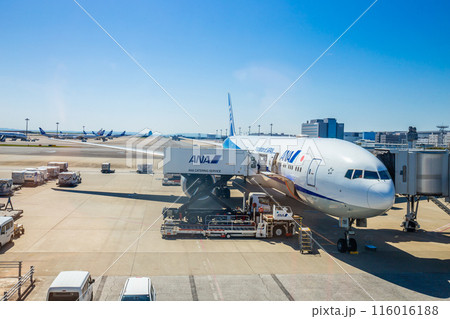 TOKYO, JAPAN - April 10, 2024 : ANA or All Nippon Airways Airlines is Japan national airline plane stops and prepares to receive passengers of Haneda Airport on a Boeing 787-9 aircraft. 116016188