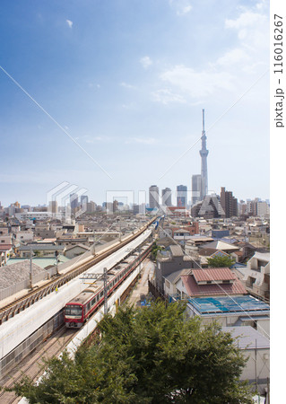 京成線電車と東京スカイツリー 116016267