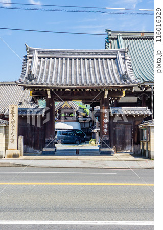 京都市左京区北門前町の妙傳寺(まねき書きの寺院) 山門 京都市左京区北門前町の妙傳寺(まねき書きの寺院) 山門 116016329