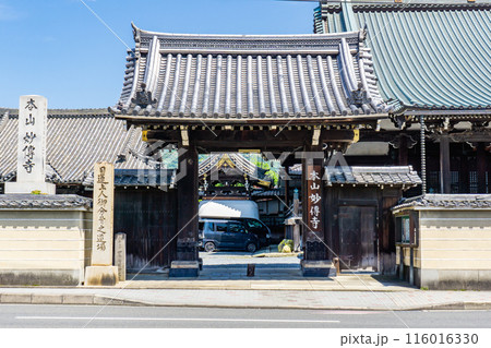 京都市左京区北門前町の妙傳寺(まねき書きの寺院) 山門 京都市左京区北門前町の妙傳寺(まねき書きの寺院) 山門 116016330