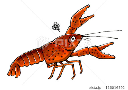 瀕死のザリガニ 116016392