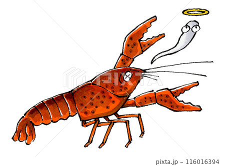 死んだザリガニ 116016394