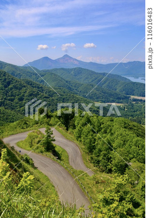春の西吾妻スカイバレー（福島県・北塩原村） 116016483