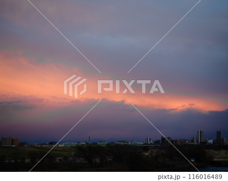 川口市の荒川堤から見えた東の空の夕焼け 116016489