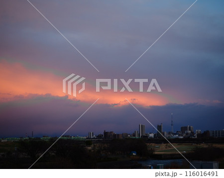 川口市の荒川堤から見えた東の空の夕焼け 116016491