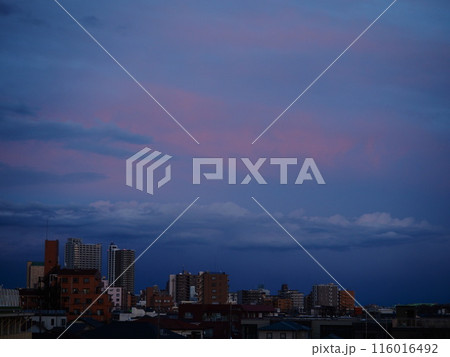 川口市の荒川堤から見えた東の空の夕焼け 川口市の荒川堤から見えた東の空の夕焼け 116016492