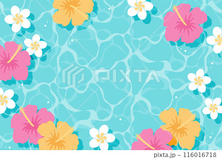 水に浮かぶプルメリアとハイビスカスの花の背景イラスト 水に浮かぶプルメリアとハイビスカスの花の背景イラスト 116016718
