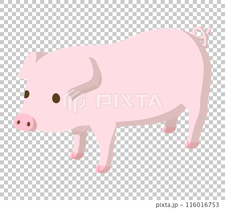 Pig  116016753