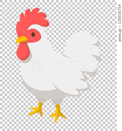 鶏 鶏 116016754