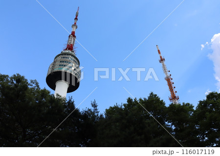 ソウルのシンボル南山タワー 116017119