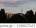 ソウルのシンボル南山タワー 116017121