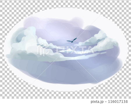 鳥在天空飛翔 鳥在天空飛翔 116017138