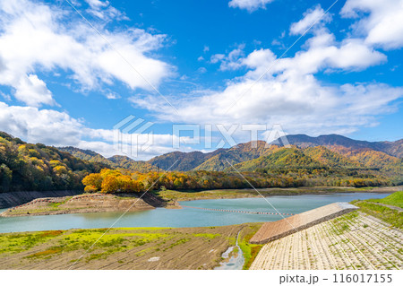 笹ヶ峰ダム　乙見湖 116017155
