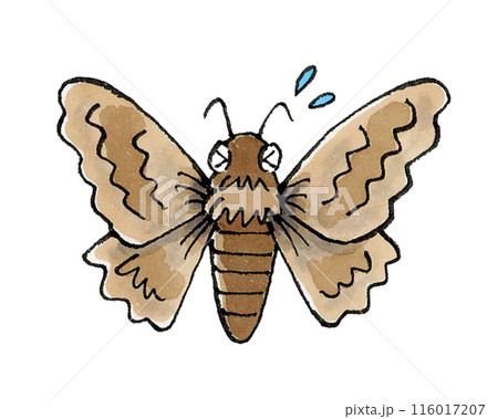 困る蛾 116017207