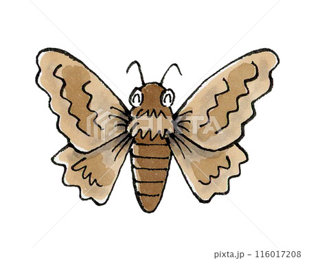 喜ぶ蛾 喜ぶ蛾 116017208