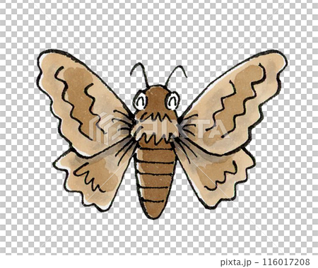 喜ぶ蛾 喜ぶ蛾 116017208