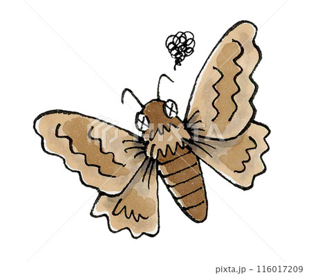 瀕死の蛾 瀕死の蛾 116017209