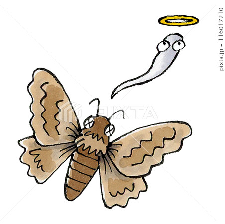 死んだ蛾 死んだ蛾 116017210