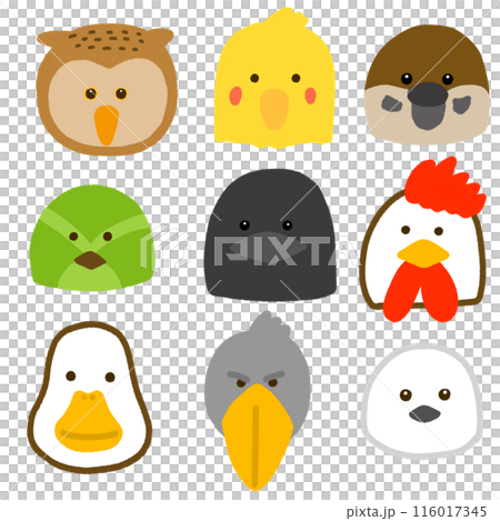 Set of various bird faces Set of various bird faces 116017345