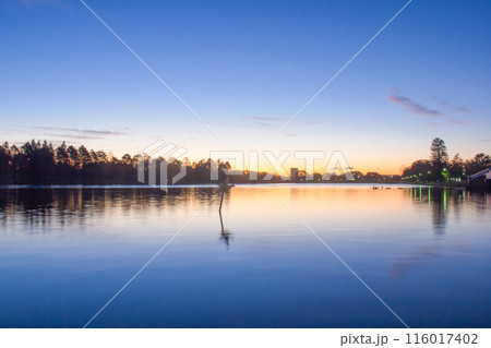 水元公園と朝日 水元公園と朝日 116017402