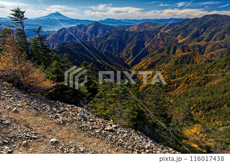 甲武信岳山頂から見る秋色の国師ヶ岳・黒金山と富士山 116017438