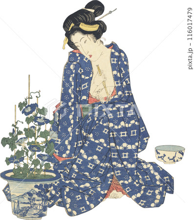 浮世絵　イラスト　女性 116017479