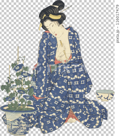 浮世絵　イラスト　女性 116017479