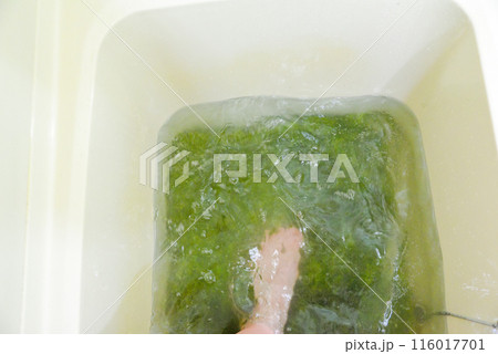 浴槽でラグマットの洗濯　踏み洗い 116017701