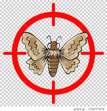 Moth target mark 116017839