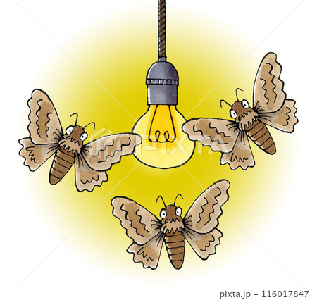 電球に集まる蛾 116017847